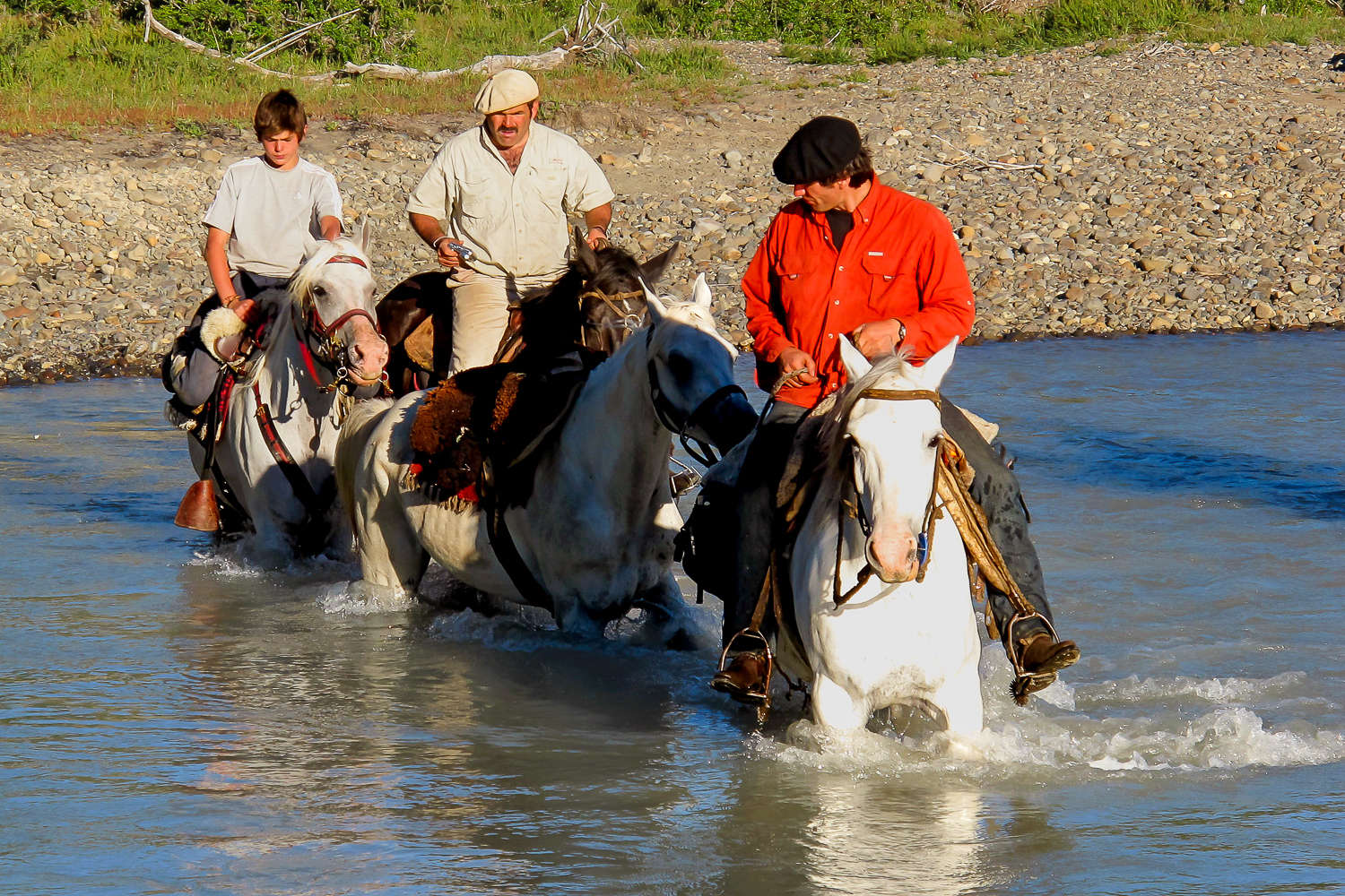 Exp Dition Cheval Dans Le Sud Patagonie En Argentine Cheval D Aventure