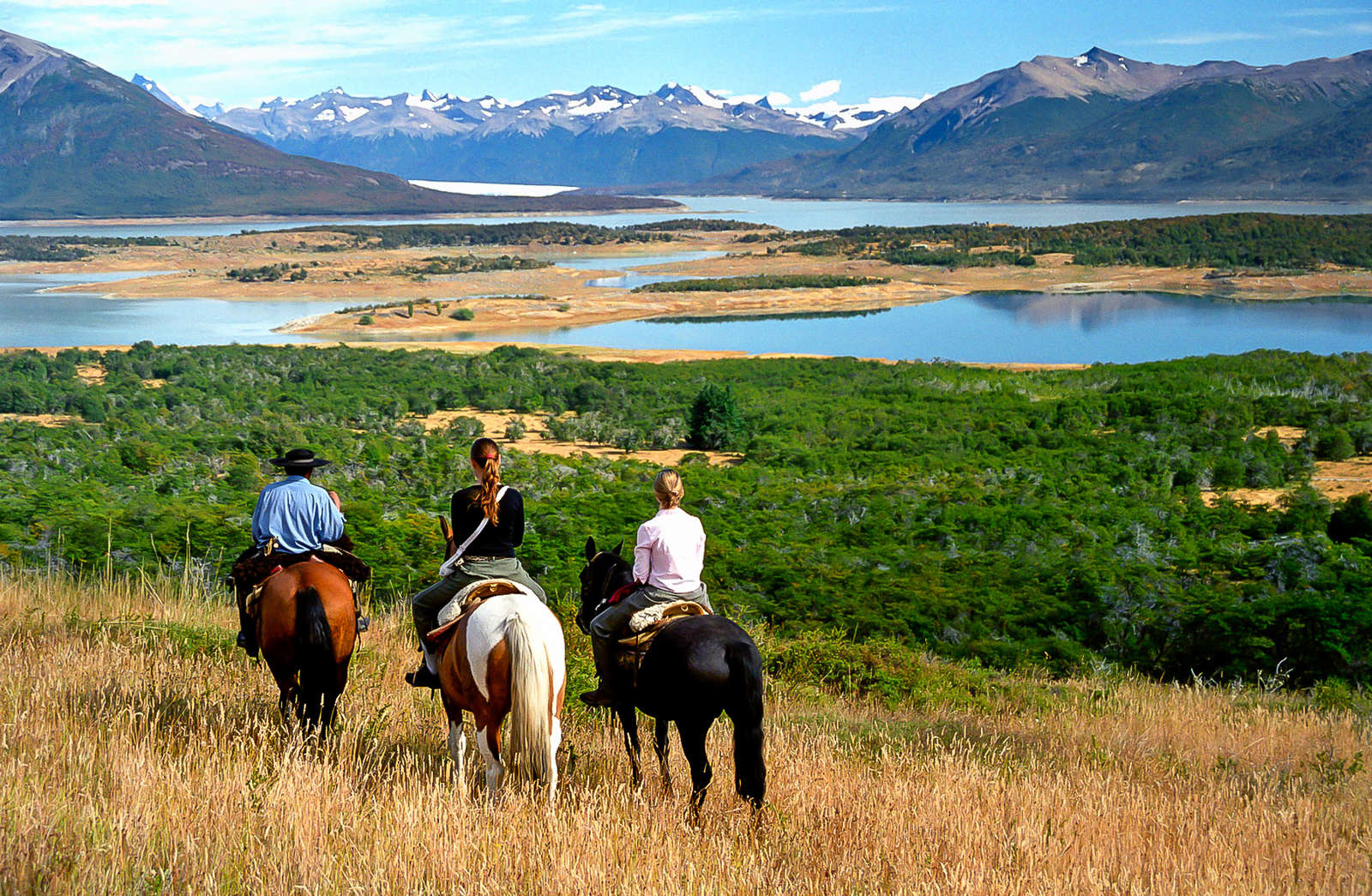 D Couvrez L Argentine Et La Patagonie Cheval Cheval D Aventure