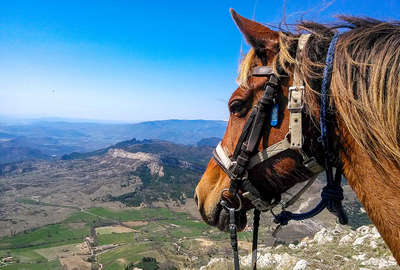 A cheval dans les Alpes du sud