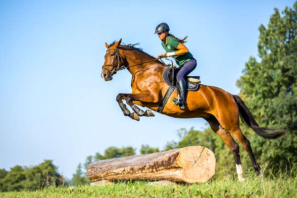 Cavalier sautant un tronc en Pologne