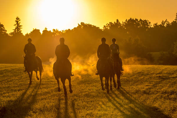 cavaliers au galop au soleil couchant dans les champs en Pologne