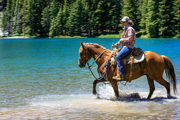 Paysage de l'Idaho à cheval
