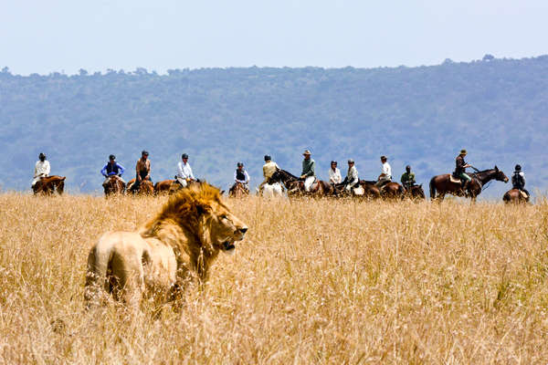Safari à cheval dans le Masaï Mara