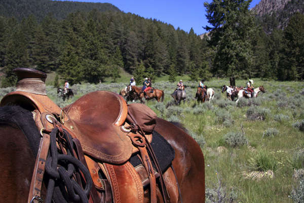 Selle western convoyage chevaux Idaho