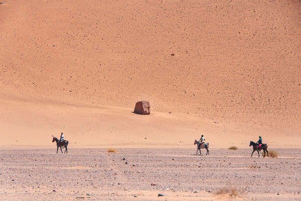 Trois cavaliers sur leur chevaux arabes  dans le désert d'Al Ula