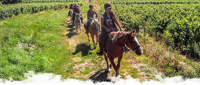 Nos escapades à cheval