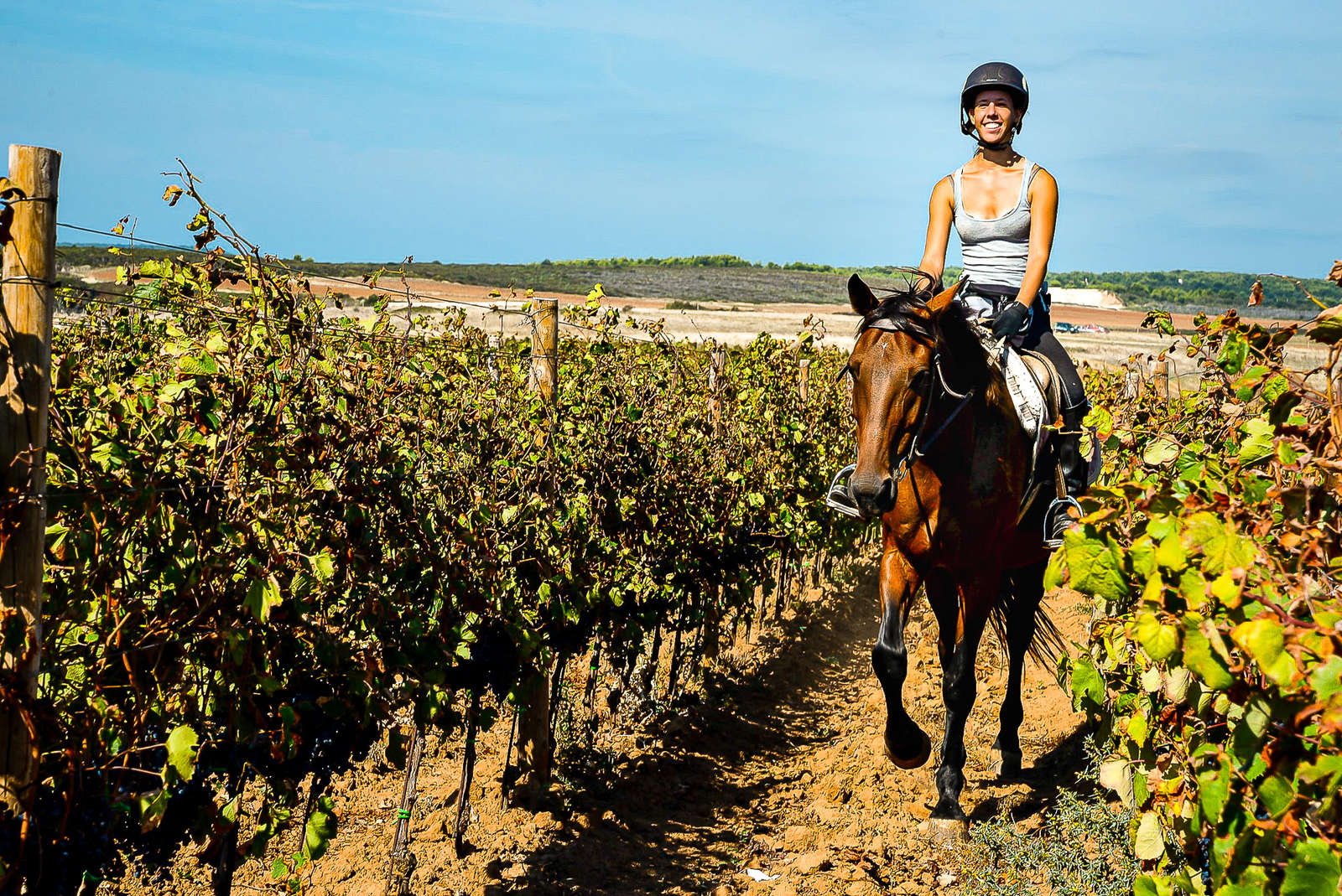 Partez en randonn e  cheval  nature et plage en Croatie 