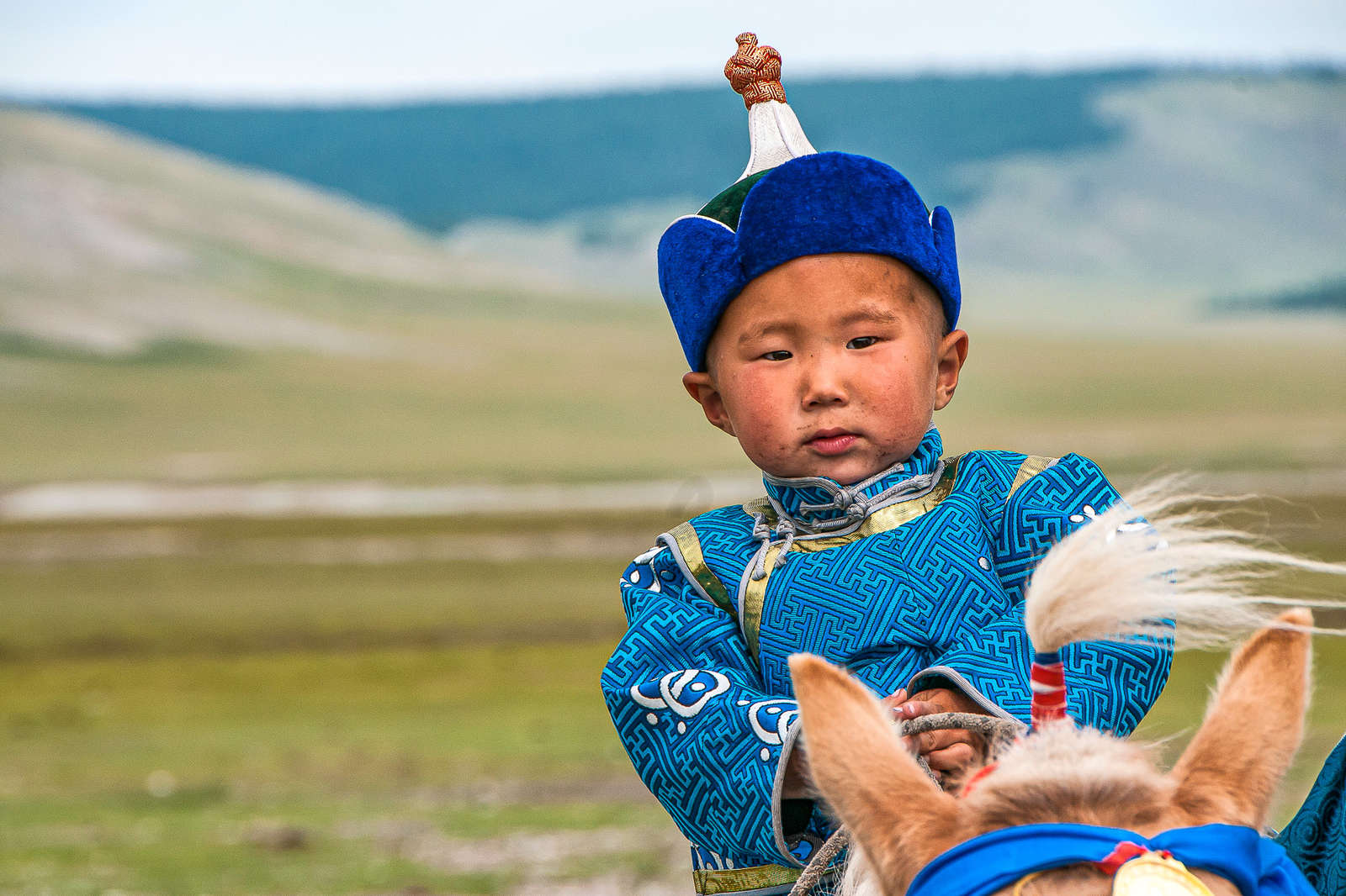 Découvrez Les Randonnées à Cheval En Mongolie Cheval Daventure