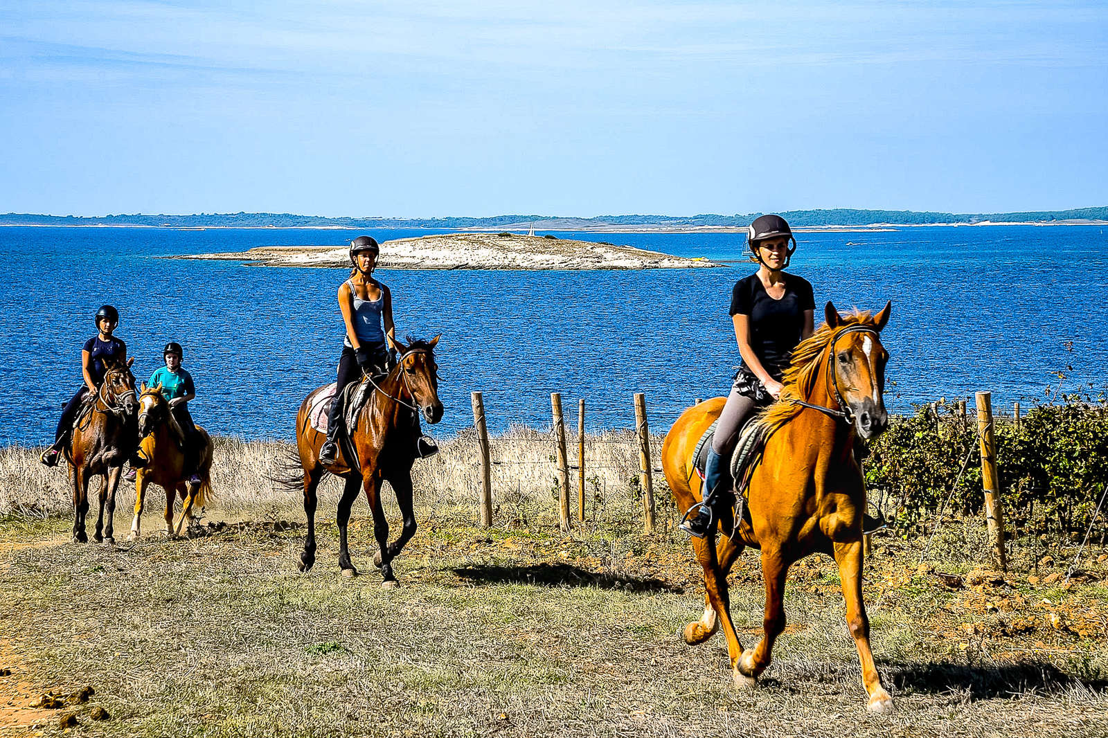 Partez en randonn e  cheval  nature et plage en Croatie 