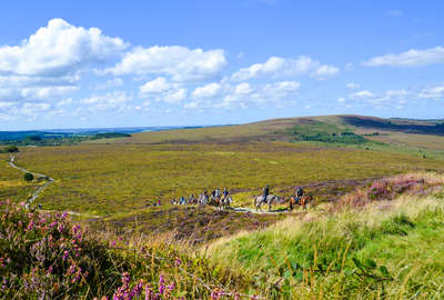 Les Monts d'Arrée à cheval