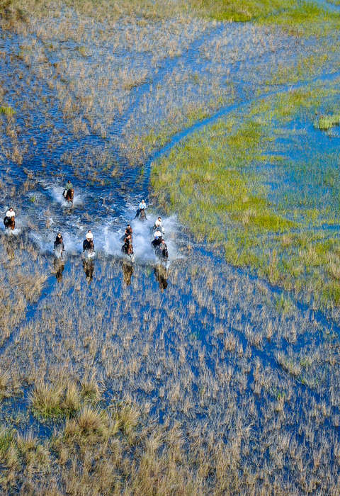 Cavaliers au galop dans l'Okavango