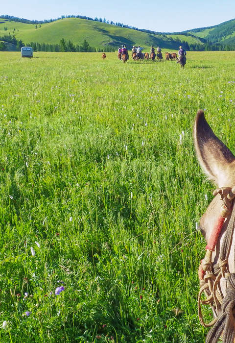 Le Khentii à cheval en Mongolie