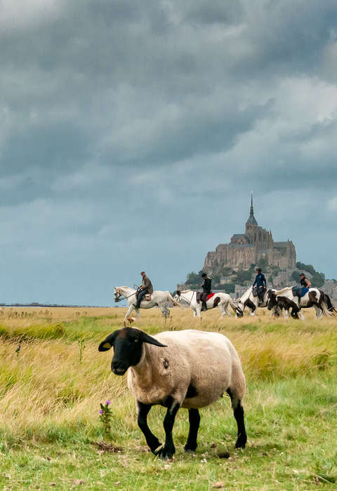 Rando équestre au Mont Saint Michel