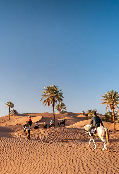 Sahara marocain à cheval