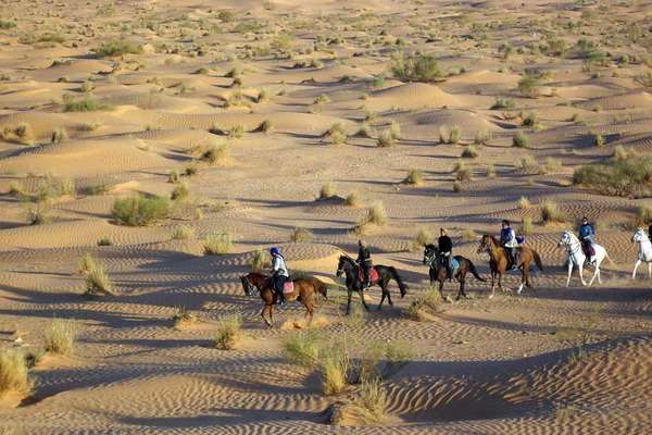 Randonnée à cheval en Tunisie
