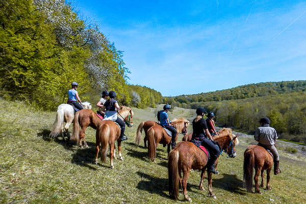 Découvrez La Normandie Sur Des Chevaux Islandais | Cheval D'Aventure