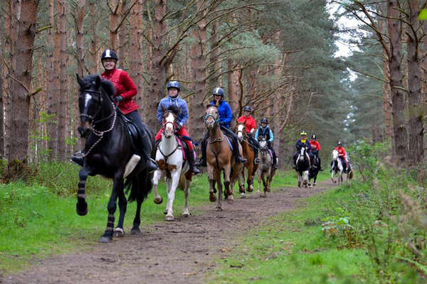 Cavalière dans les forêts écossaises