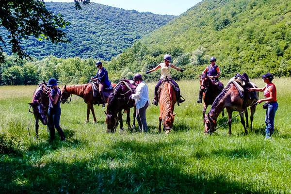 Partez en randonn e  cheval  nature et plage en Croatie 