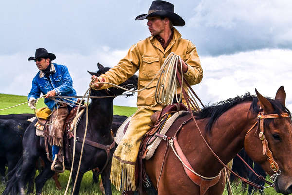 Cowboys maniant le lasso lors d'un séjour Ranch aux États-Unis