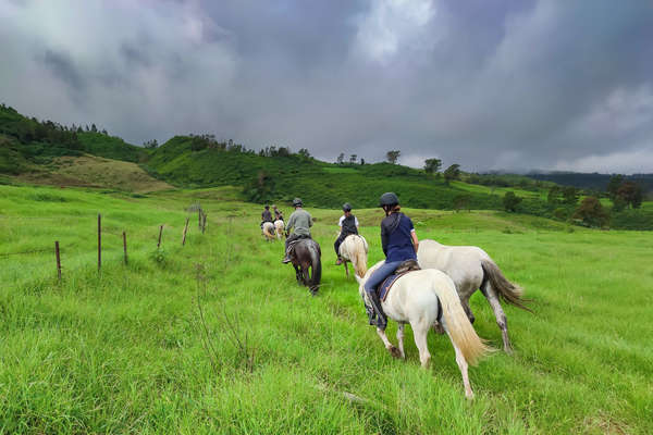 Partez à cheval à la découverte de l'île de la Réunion