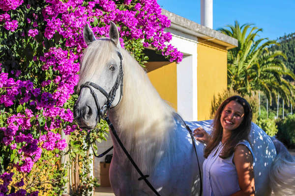 Alliez Stage De Dressage Et La Feira De Golega Au Portugal